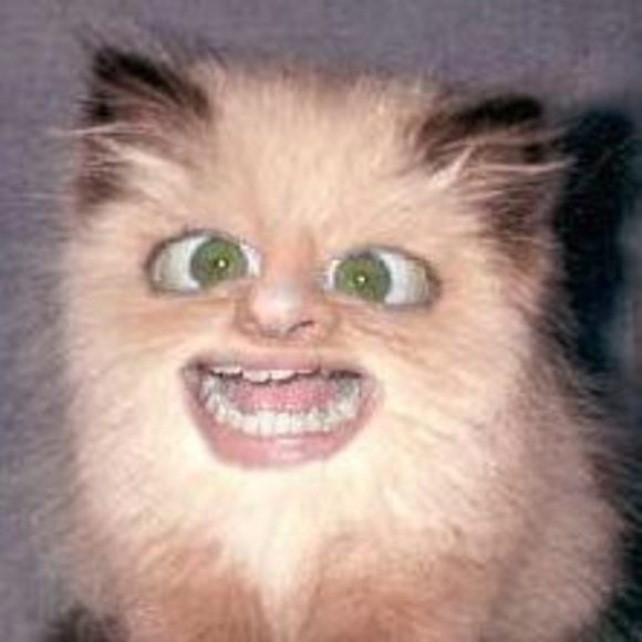 Meet your Posher, Margaret - Picture 1 of 1